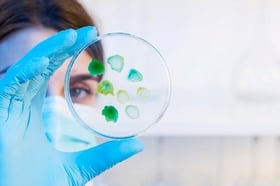 image1-Jan-28-2026-05-22-37-9146-PM