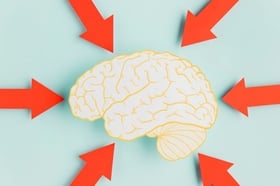 image2-Feb-26-2026-05-02-23-7592-PM